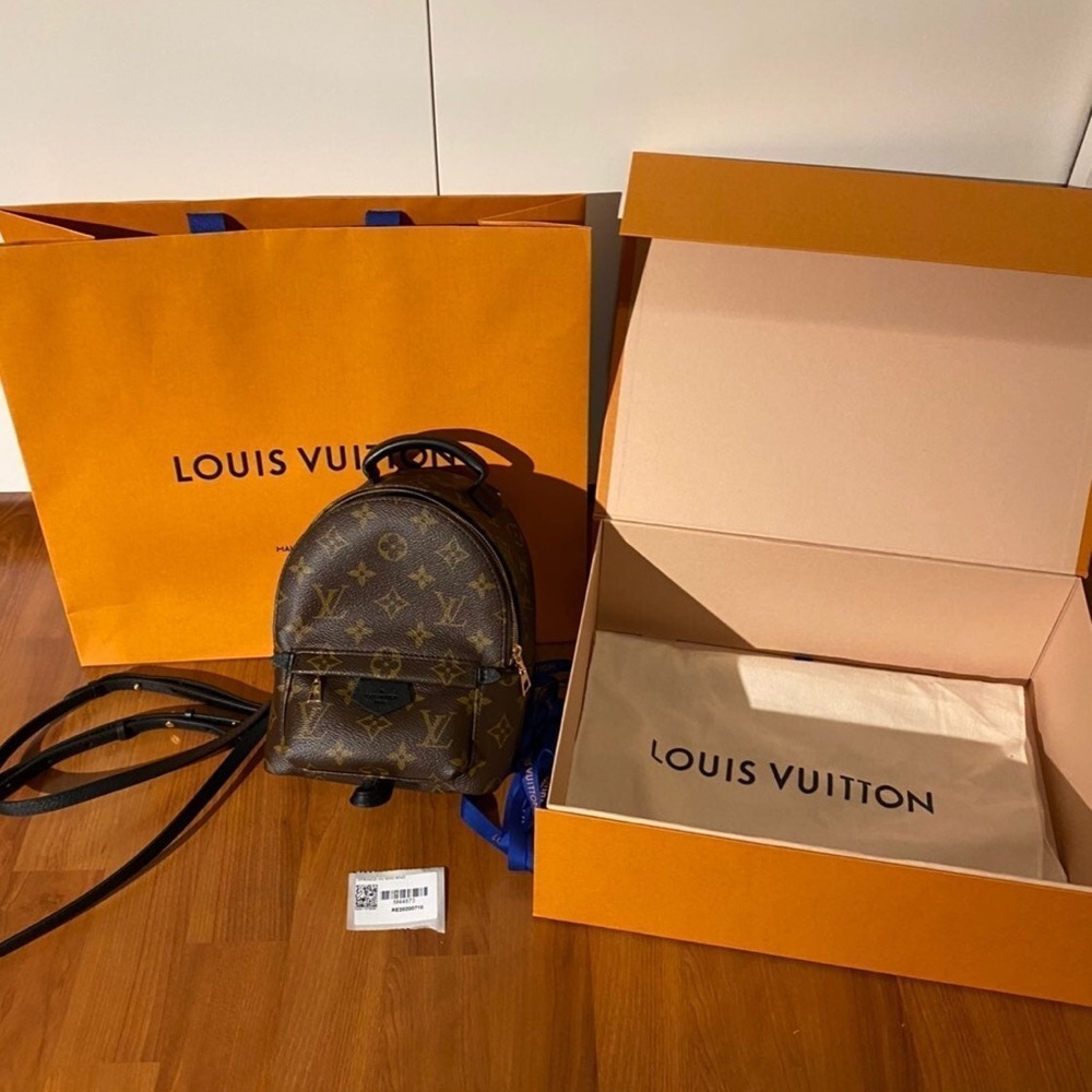 Louis Vuitton Palm Springs Mini